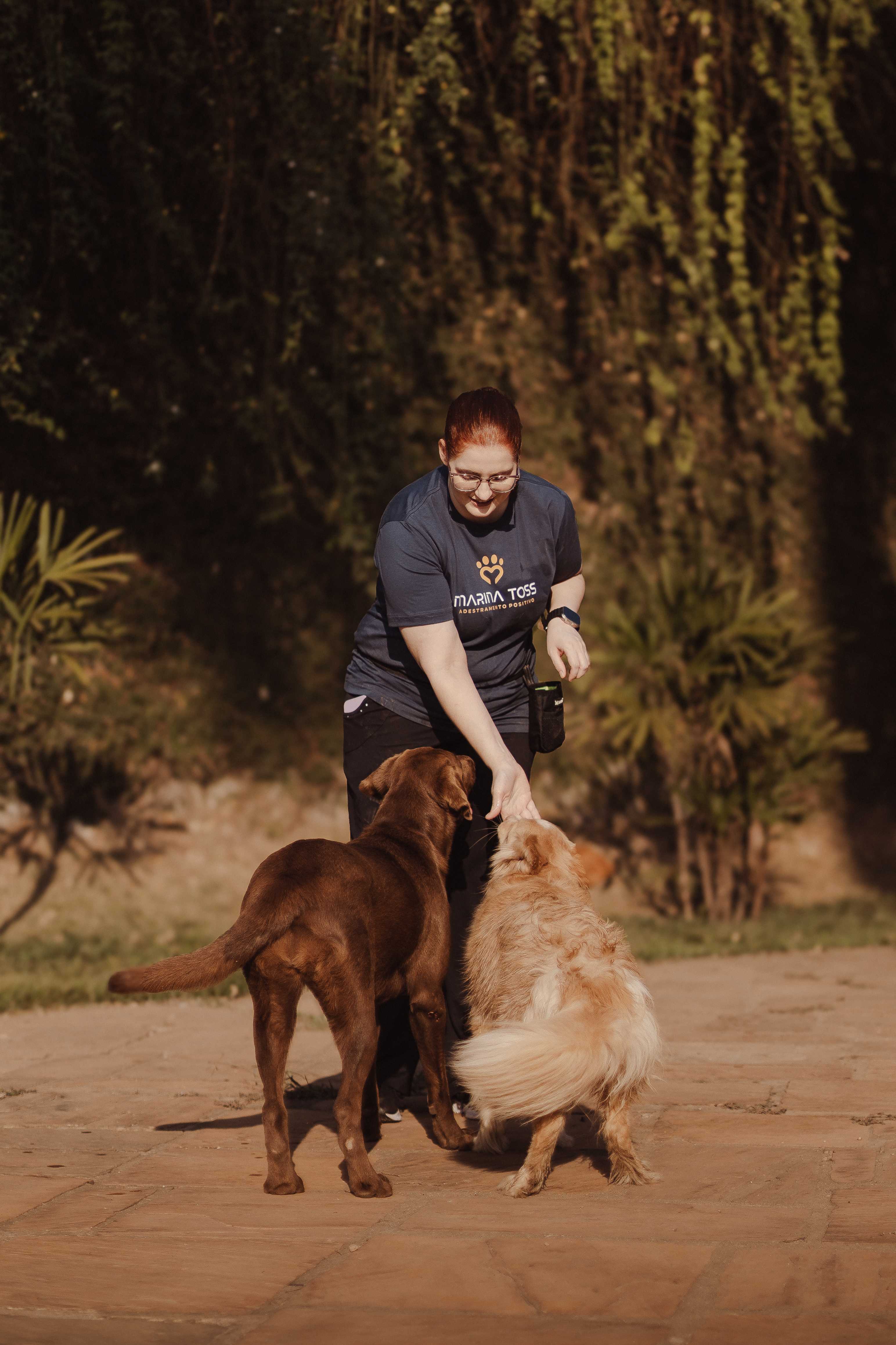 Treino Multi-Cães Landing Image